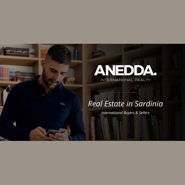 Logo ANEDDA.