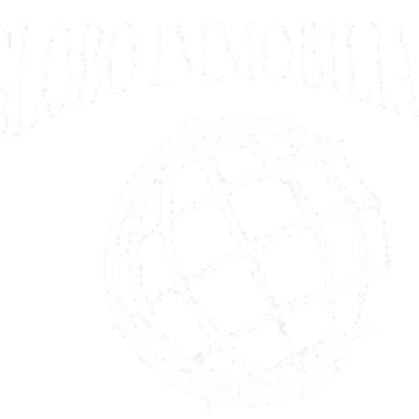 Logo Globo Immobiliare