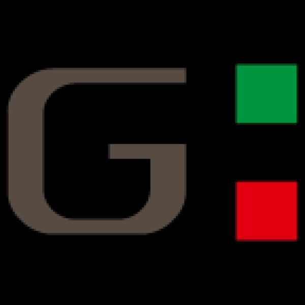 Logo Gruppo Immobiliare Snc
