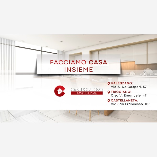 Logo Castronuovo Luigi