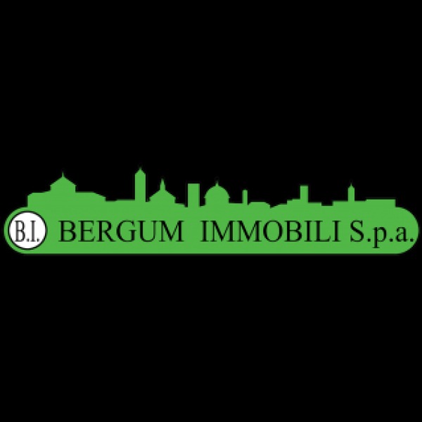 Logo Bergum Immobili S.p.A.