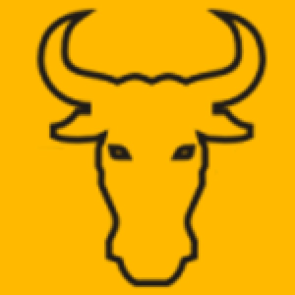 Logo Toro Costruzioni S.r.l.