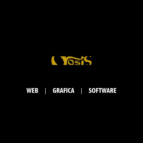 Logo Impresa Edile Vinai Renato S.r.l.