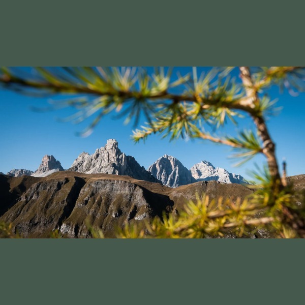 Logo Agenzia Immobiliare AZ
