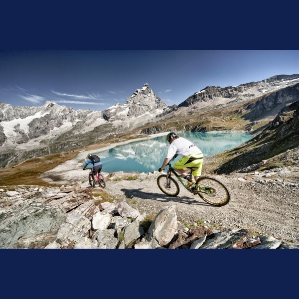 Logo Immobiliare Monte Cervino