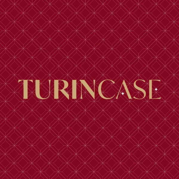 Logo Turincase